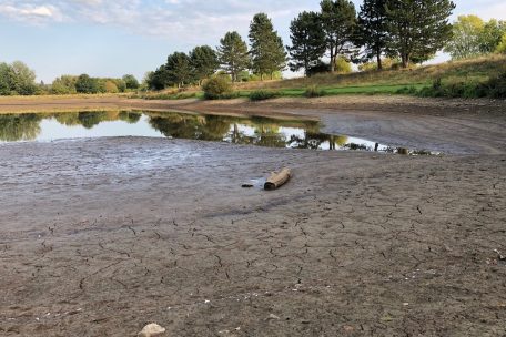 Weiswampach / Gemeinde lässt offenbar ohne Genehmigung Wasser aus See ablaufen