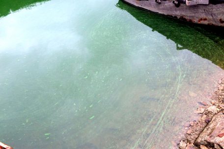 Badeverbot / Blaualgen-Situation im Stausee und in den Seen von Weiswampach verschlimmert sich