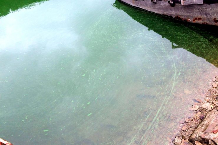 Badeverbot / Blaualgen-Situation im Stausee und in den Seen von Weiswampach verschlimmert sich