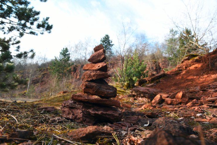 Pro-Sud / Kandidatur für das „Man and the Biosphere“-Programm auf der Zielgeraden