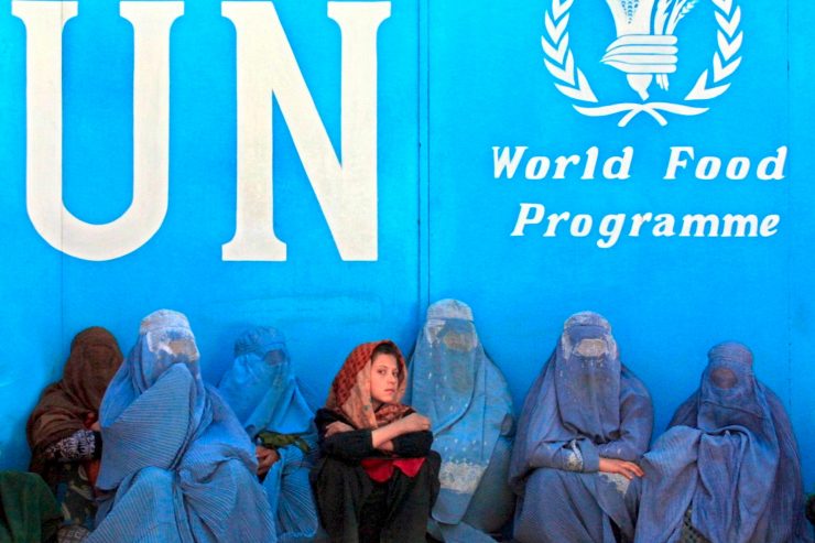 Auszeichnung / UN-Welternährungsprogramm erhält Friedensnobelpreis