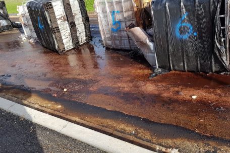 Details des Umweltfrevels