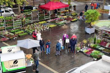 Neue Funktion / Die Düdelinger Geschäftswelt präsentiert sich online in der City-App