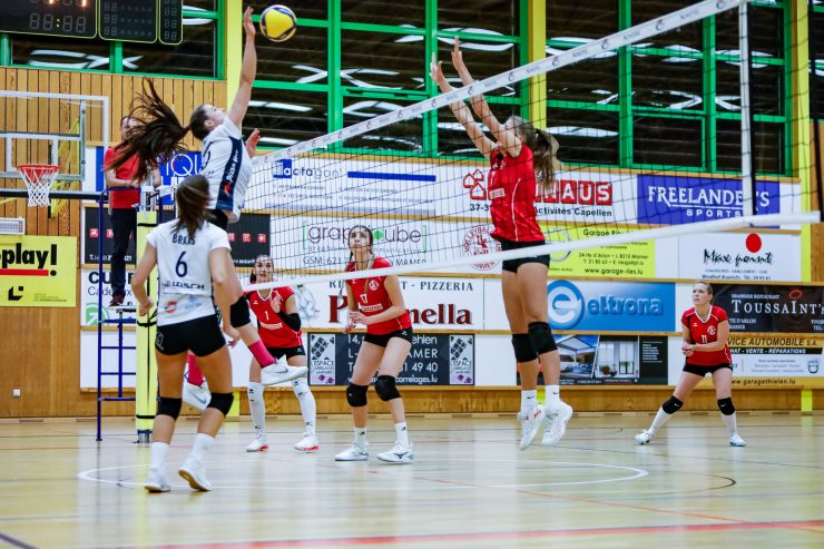Volleyball / FLVB verschiebt Spiele der Novotel-Ligue – Untere Divisionen abgesagt