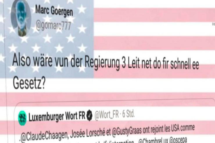 Abgeordnete / Luxemburger als Wahlbeobachter in den USA: Abstimmungen in Chamber würden nicht tangiert