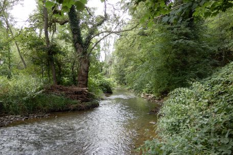 Die Alzette bei Hesperingen