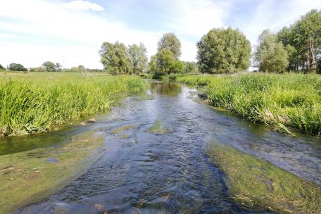 Die Alzette bei Schifflingen