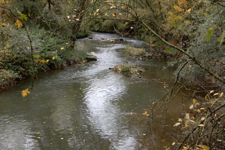 Die Alzette bei Fentingen