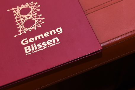 Google Bissen / „Absichtserklärung ist kein administratives Dokument“