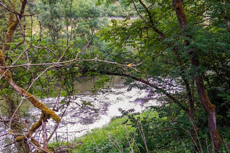 Seifenartige Substanz / Echternach: Angler stellen Verschmutzung der Sauer fest