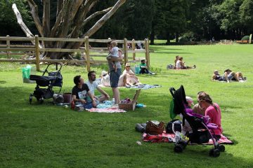 Neurologie / Grüne Oasen in der Stadt helfen dem Gehirn, Stress abzubauen
