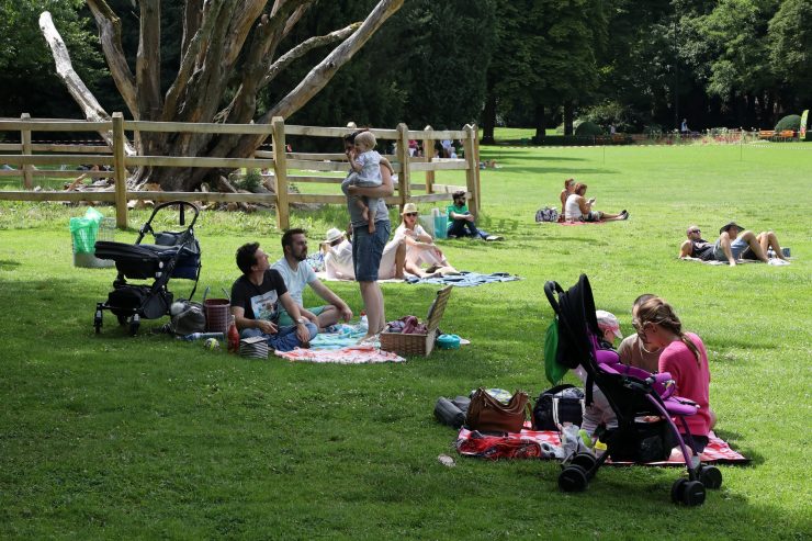 Neurologie / Grüne Oasen in der Stadt helfen dem Gehirn, Stress abzubauen