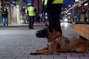 Luxemburg-Stadt / Private Sicherheitsdienste im öffentlichen Raum – Schöffe Wilmes: „Es ist keine Ersatzpolizei!“