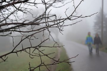 Das Wetter / Luxemburg fröstelt und lässt Sonne vermissen