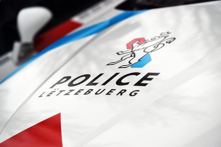 Polizei / Fahrer hat weder Führerschein noch Steuervignette, aber Gras dabei