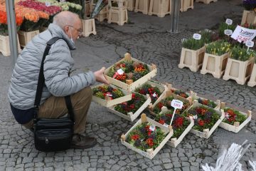 Luxemburg / Würfel sind gefallen: Stadtmarkt zieht auf den Hamilius um