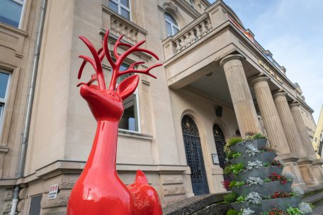 Bei der Weihnachtsdekoration setzt die Stadt in diesem Jahr auf die Farbe Rot