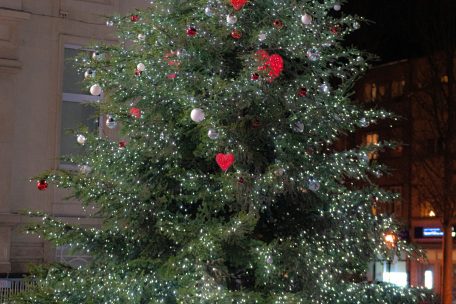 Fast zehn Meter hoch ist der Weihnachtsbaum auf dem Rathausplatz