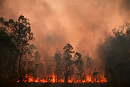 Extreme Trockenheit und mehr heiße Tage könnten immer häufiger Feuer mit sich bringen