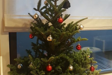 Klein, aber oho: wer wie Lia Rossi keinen Platz für den XXL-Christbaum hat, der holt sich halt die Tanne im Topf nach Hause