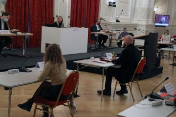 Petition zu Silvestergedenken / Kein allgemeines Verbot von Feuerwerk