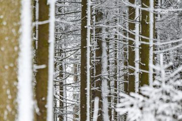 Meteolux / Staatlicher Wetterdienst warnt vor starkem Wind und Schneeverwehungen am Sonntag
