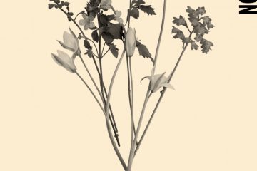 Littérature / Les voix précieuses de Faïza Guène et Fatima Daas