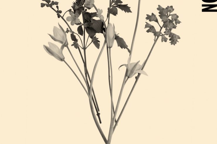 Littérature / Les voix précieuses de Faïza Guène et Fatima Daas