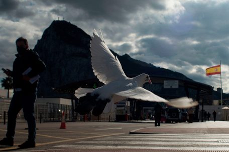 Gibraltar / Wieso die „Affeninsel“ als kuriose Brexit-Folge näher an Europa rückt