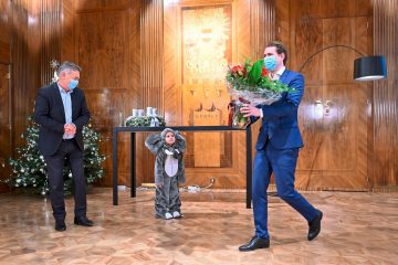 Analyse / Unter der Oberfläche gärt es: Österreichs türkis-grüner Regierung blüht ein verflixtes zweites Jahr