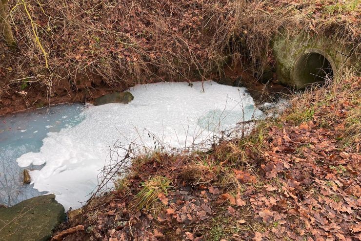 Verschmutzung / Auslaufende Milch verunreinigt „Rouschtbach“ in Essingen