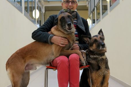 Gasperich / Ein anderer Tagesablauf: Das Tierasyl in Corona-Zeiten