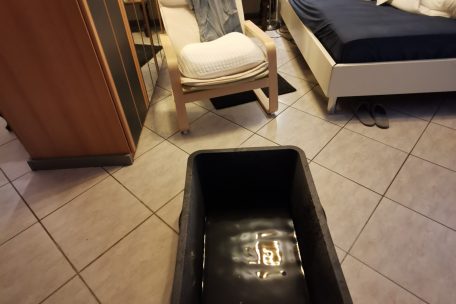 Morgens und abends muss der Behälter gelehrt werden