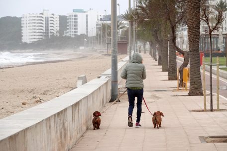Tourismus / Drastische Corona-Maßnahmen auf Mallorca und Ibiza in Kraft