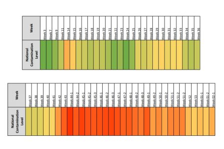 Die Verseuchung der Luxemburger Abwässer im Laufe des Jahres auf einen Blick (Quelle: Luxembourg Institute of Science and Technology, Bearbeitung durch Tageblatt.lu)