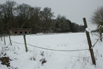 Schifflingen / Streit um einen Pferdestall, den es gar nicht geben dürfte