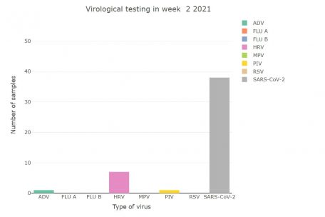 In der zweiten Kalenderwoche 2021 wurde kein einziger Grippefall in Luxemburg entdeckt