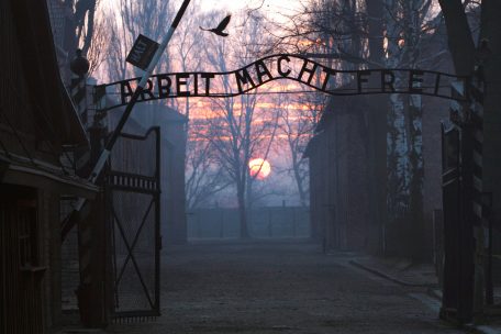Gedenken an Opfer des Holocaust / Niemand ist vergessen, nichts wird vergessen – die Geschichten von drei Familien