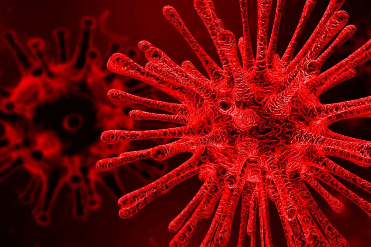 Glosse / Rätselhafter „B.1.1.6.0“: Horrorvirus, made in Luxembourg