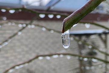 Wetter / Luxemburg taut allmählich wieder auf: Am Dienstag werden’s bis zu zehn Grad