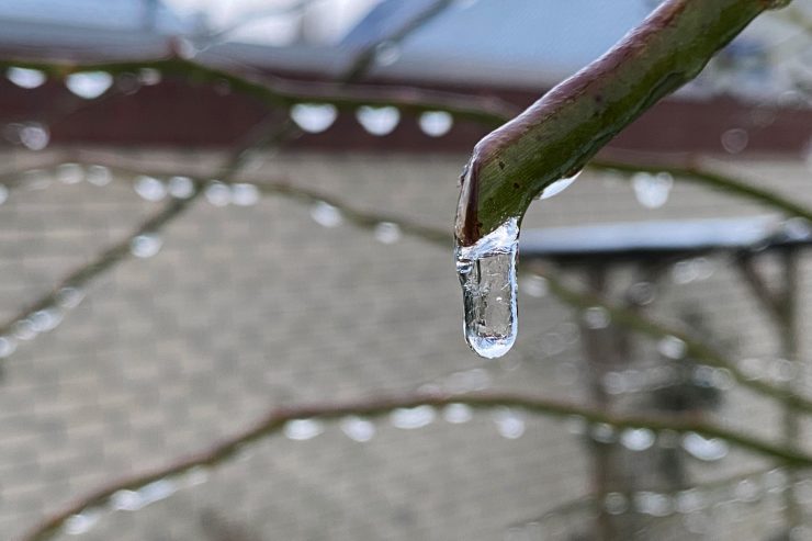 Wetter / Luxemburg taut allmählich wieder auf: Am Dienstag werden’s bis zu zehn Grad