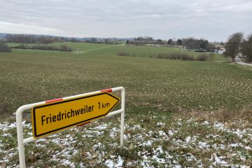 Großregion  / Umstrittene Gigafabrik: Chinesischer Hersteller von Batterien will sich im Saarland ansiedeln 