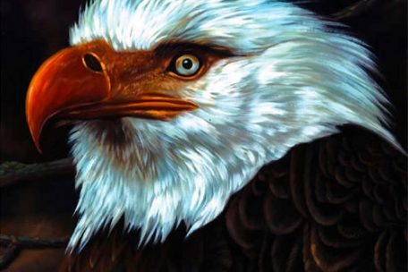 The Hawk Is Howling“ (2008), 8/10