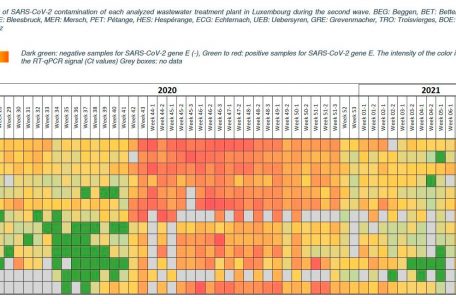 Grad der SARS-CoV-2-Kontamination jeder analysierten Kläranlage in Luxemburg