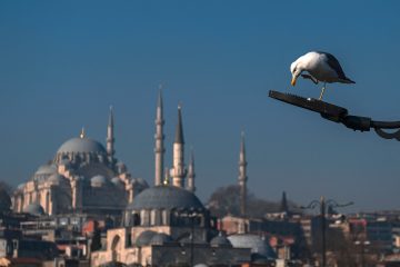 Islamismus / Wie Islam-Vereine weltweit bei Gedenkfeiern einem Antisemiten huldigen