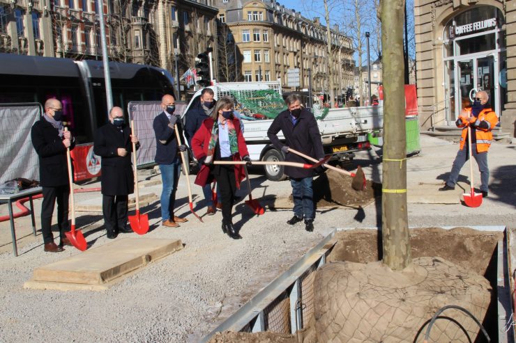 Luxemburg-Stadt / Lydie Polfer und François Bausch weihen ersten Baum auf der place de Paris ein
