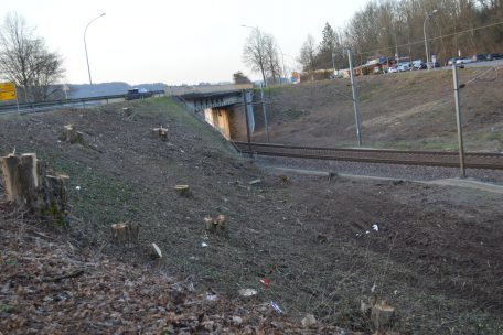 Die Behelfsbrücke soll sich an die rechte Flanke der bestehenden Brücke (in Richtung Schieren) anschmiegen 