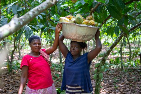 Die Menschen, die Kakao anbauen, woraus das schweizerisch-ghanaische Start-up den Fruchtsaft herstellt