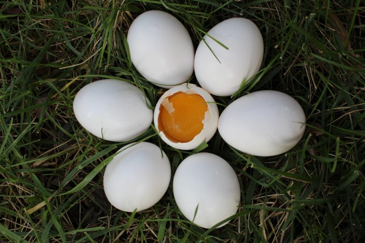 Ostern / Rund ums Ei: Wie kann man die ovalen Schätze zubereiten?