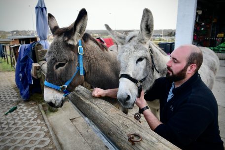 Tiertherapeut Tanguy mit den Eseldamen Brindille und Marguerite